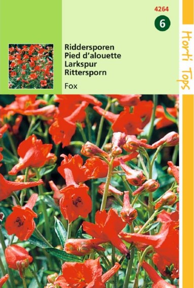Ridderspoor Fox (Delphinium nudicaule) 25 zaden